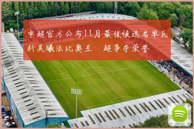中超官方公布11月最佳候选名单瓦科吴曦法比奥王燊超争夺荣誉