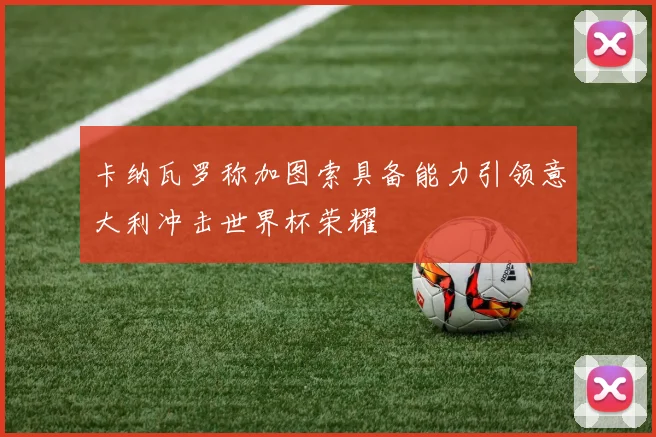 卡纳瓦罗称加图索具备能力引领意大利冲击世界杯荣耀